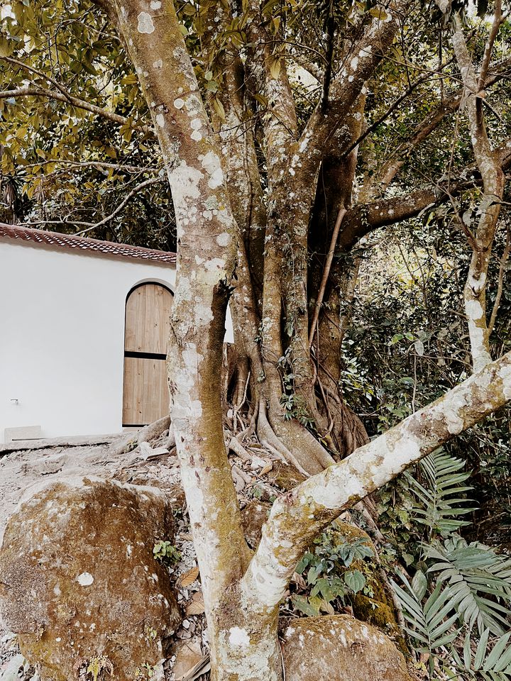 Romantic Private Cabin Ideal for an Eco-Friendly Couples Retreat in Guatemala