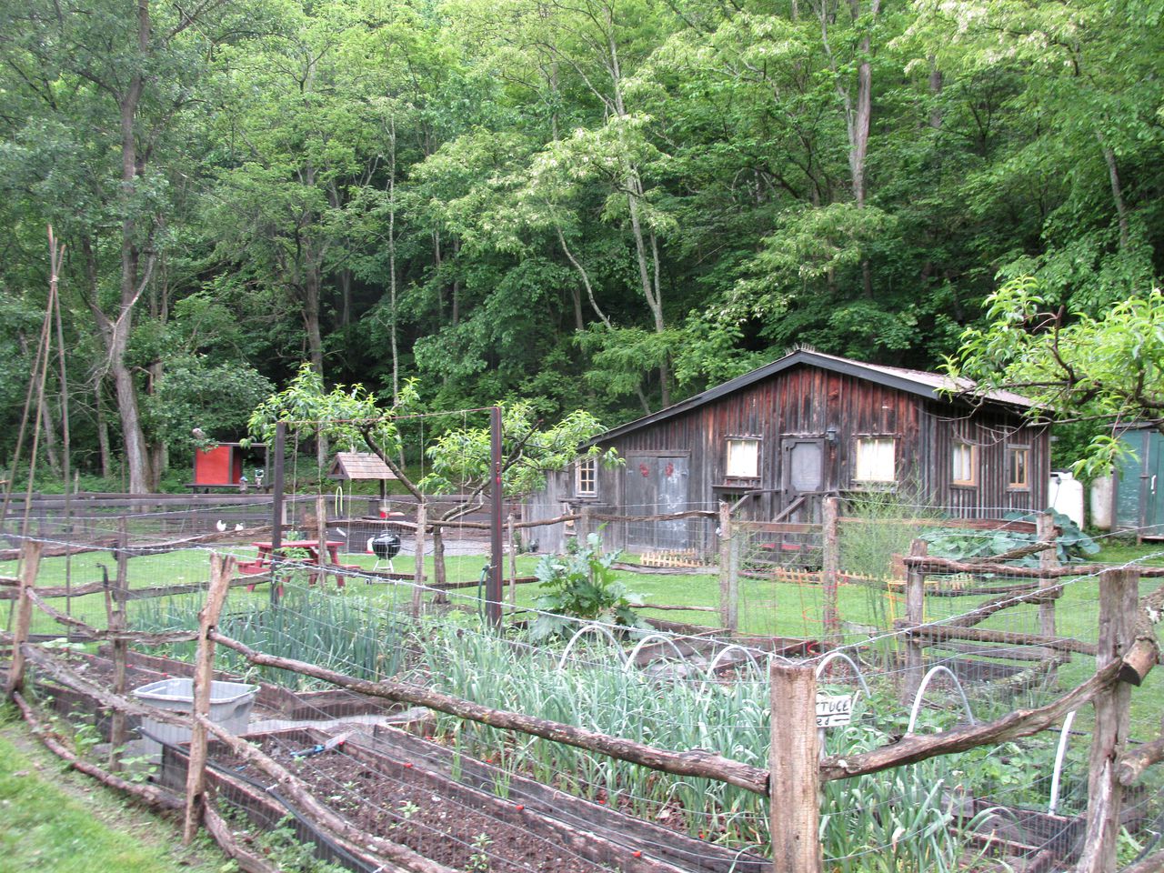Renovated Barn at Seneca Rocks, Barns, Seneca Rocks, United States of