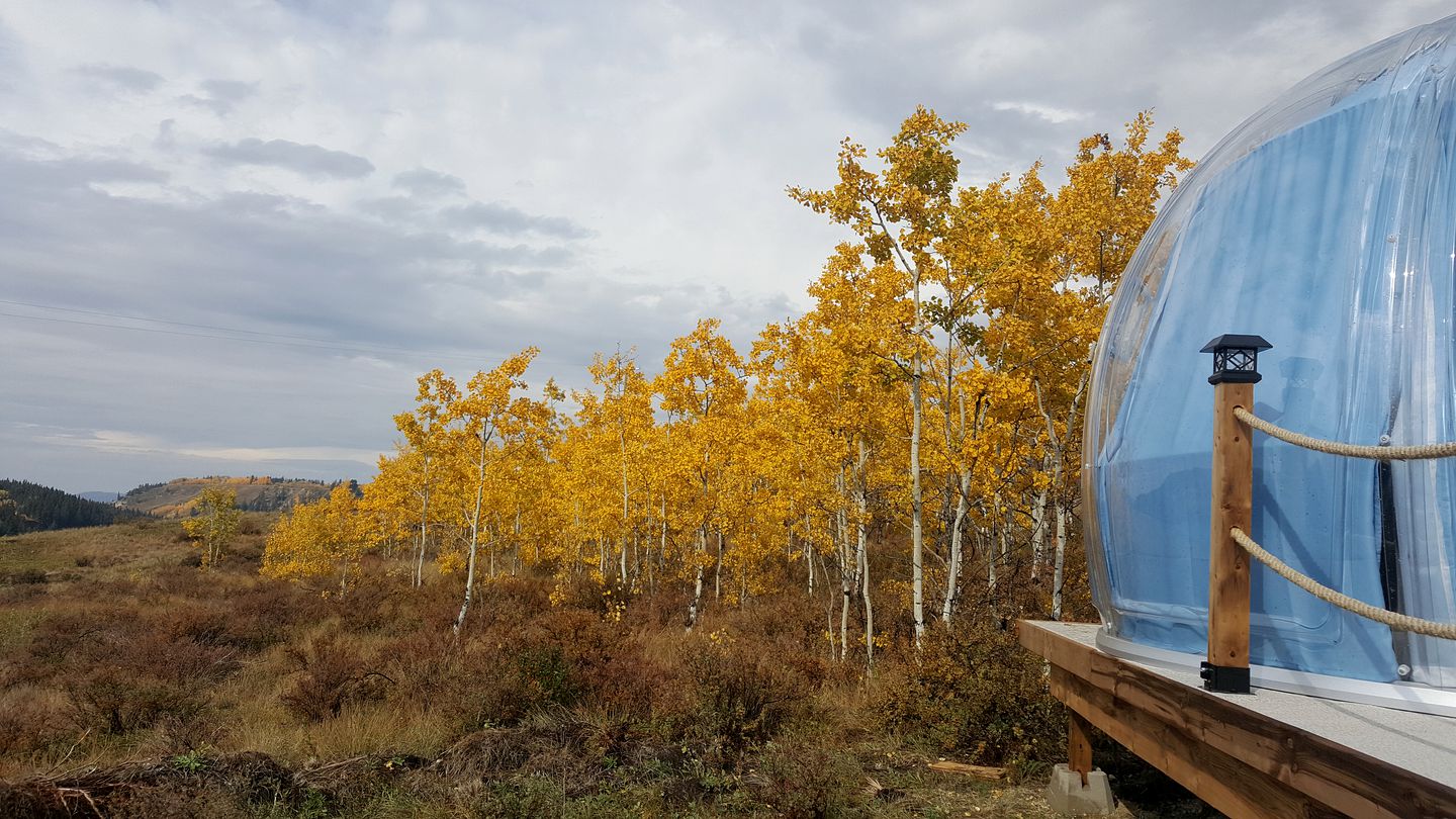Amazing Riverside Dome with Fire Pit on Ghost Lake, Alberta for Memorable Getaways for Two