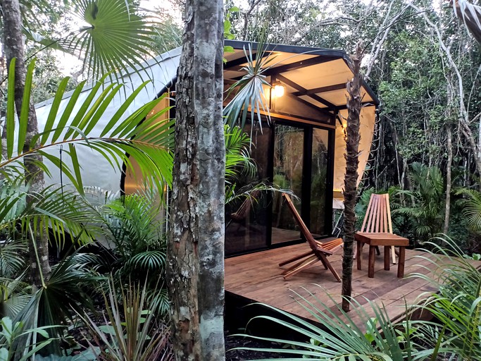 Equipped Tented Cabin Nestled Among the Towering Trees in Mexico