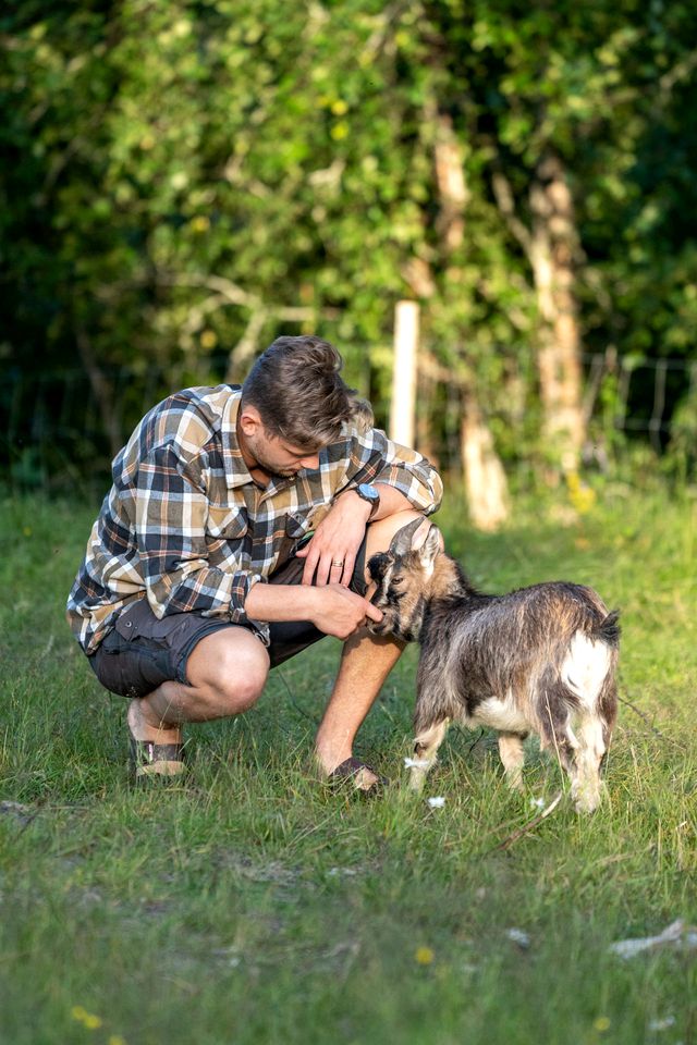 Go Glamping with Baby Goats at this Dreamy Yurt in Sweden