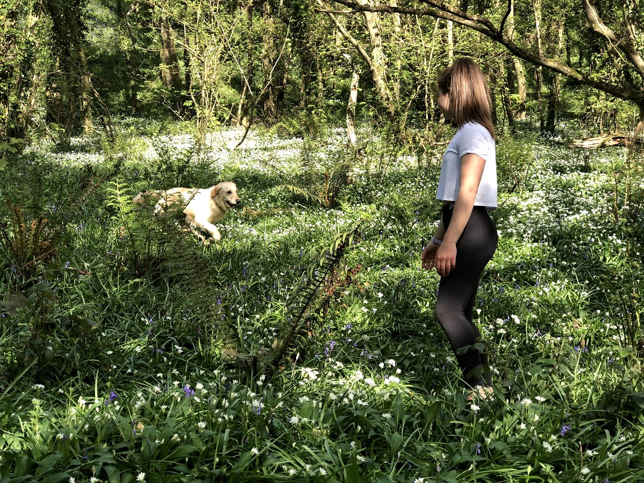 Spherical Eco-Dome in Pembrokeshire Coast National Park, Wales, UK