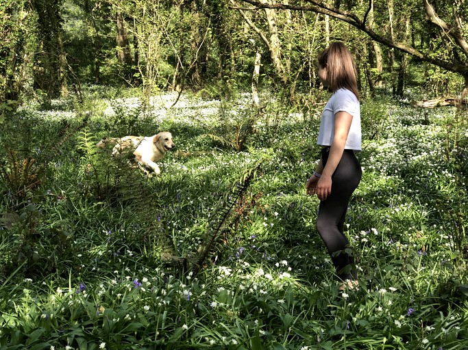 Domes (United Kingdom, Haverfordwest, Wales)