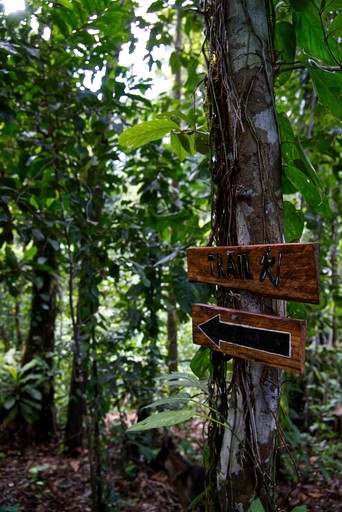 Cabins (Panama, Bastimentos, Bocas del Toro)