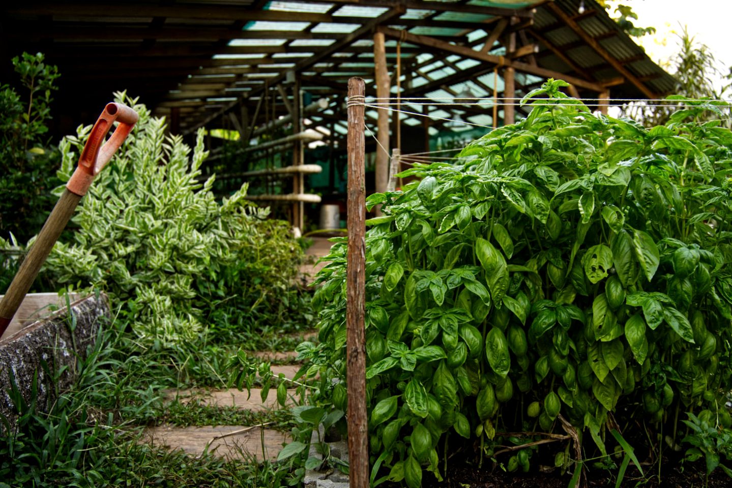 Cute Cabin on Working Farm for Escapes to Solarte Island