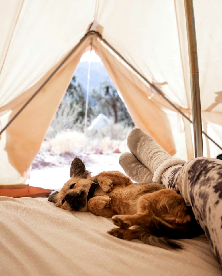 Bell Tent Glamping Destination with Breaktaking Views of Zion National Park, Utah