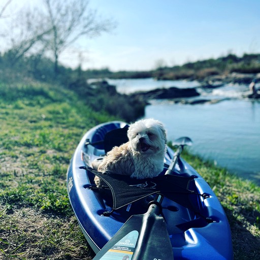 Cabins (United States of America, Castell, Texas)