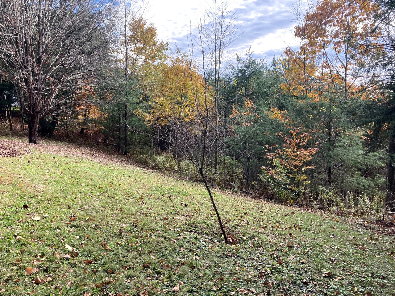 Cabin Rental for Four in Stephentown, New York, for Weekend Getaways to Nature