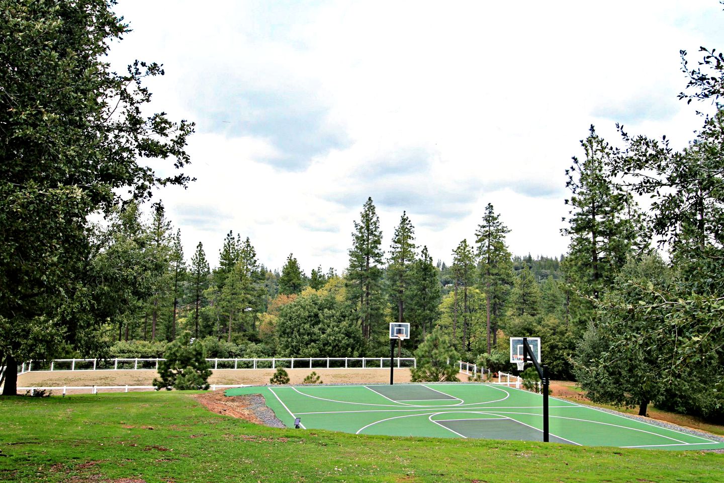 Perfect for Animal Lovers, Pet-Friendly Glamping Cabin Destination in Jackson, California