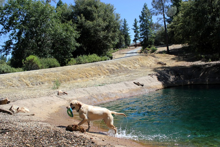 Vacation Rentals (United States of America, Jackson, California)