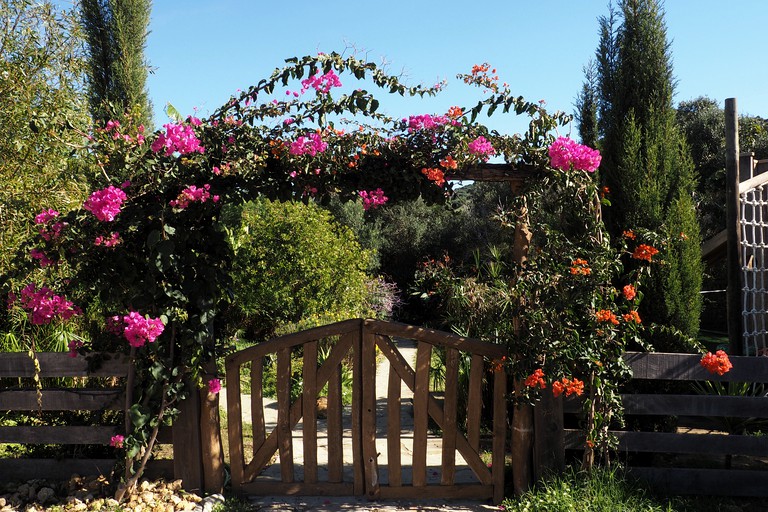 Yurts (Tarifa, Andalusia, Spain)