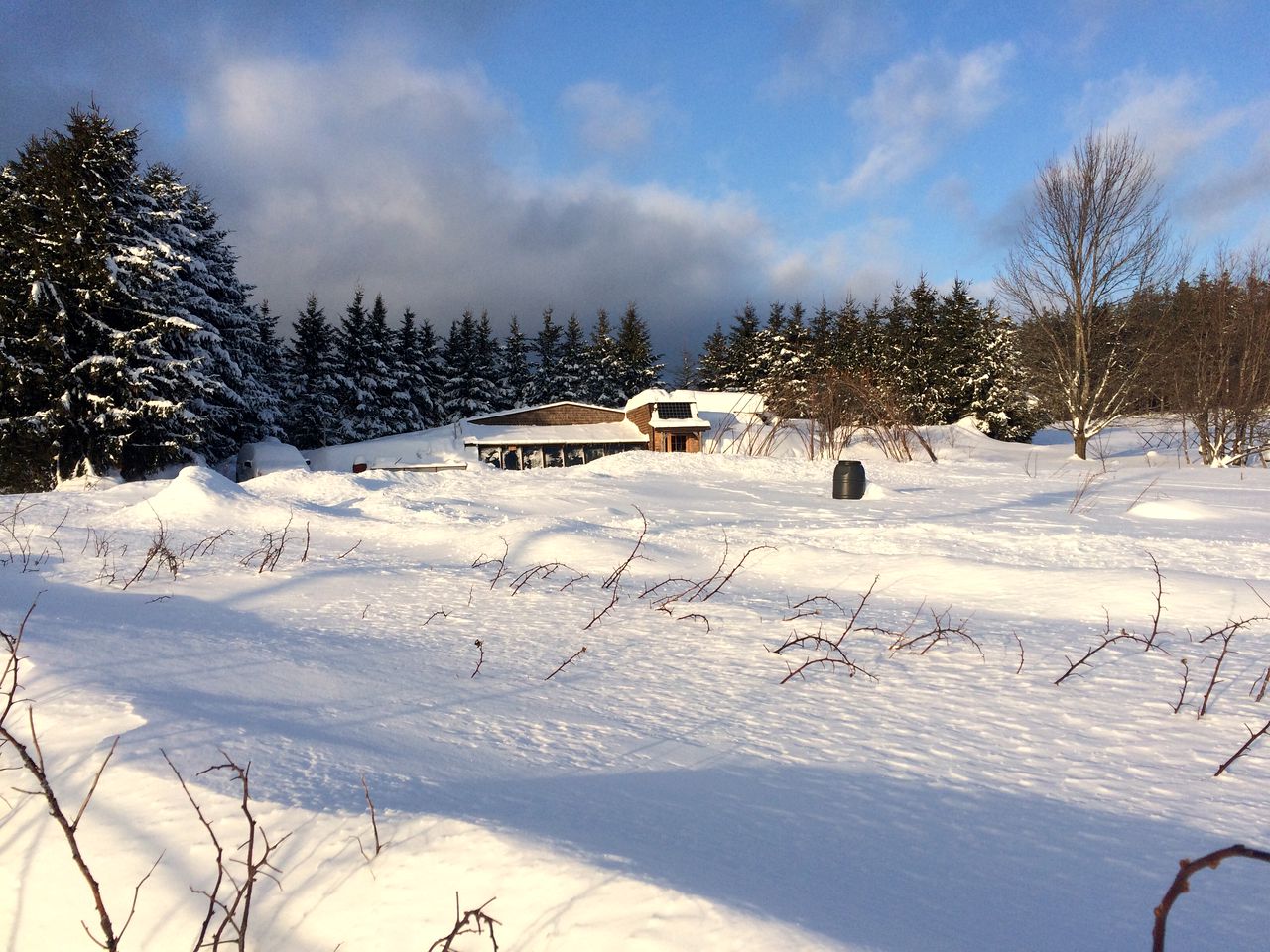 Off-Grid Glamping Stays at this Unique Rental near Quebec, Canada