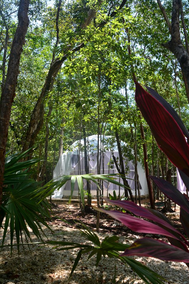 Sweet Romantic Domes with Outdoor Shower and Pool in Mexico