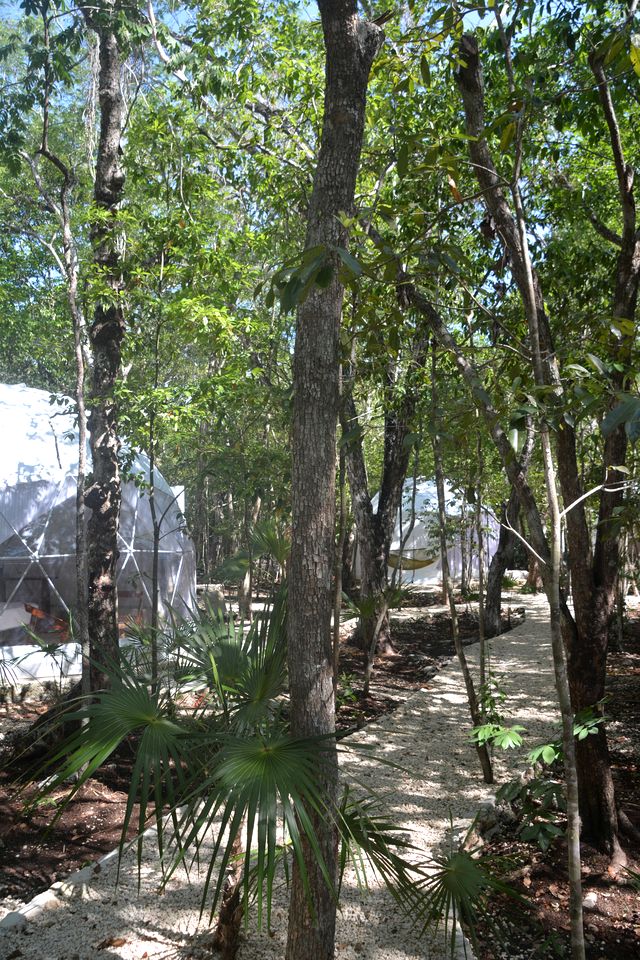 Sweet Romantic Domes with Outdoor Shower and Pool in Mexico