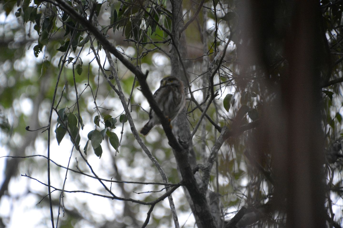 Intimate Chic Domes Ideal for Small Families in Mexico