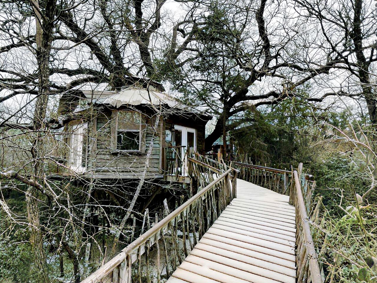 Tree House Rental with Private Pool in Celeste, for Glamping Adventures in Texas