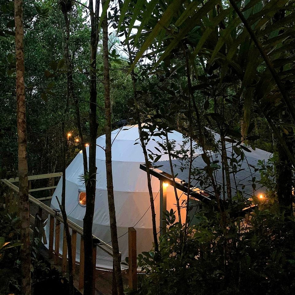 Cozy Modern Dome Nestled in the Trees in Maynooth, Ontario