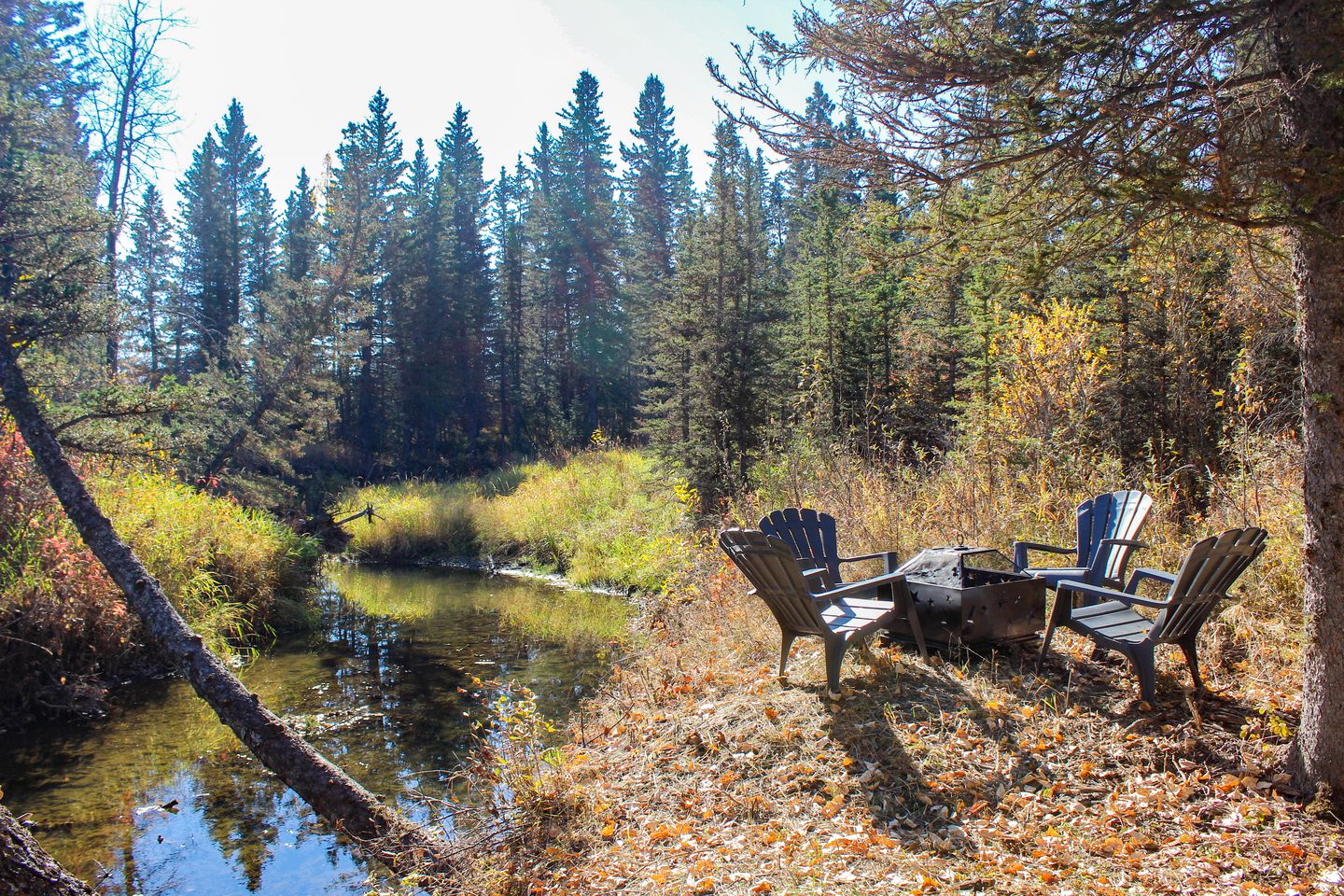 Fully-Equipped, Luxury, Bragg Creek Bell Tent in Alberta, Canada