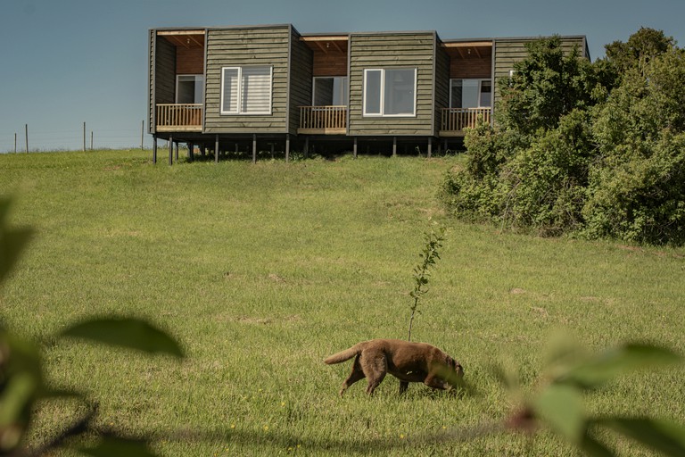 Tiny Houses (Chile, Frutillar Bajo, Los Lagos)