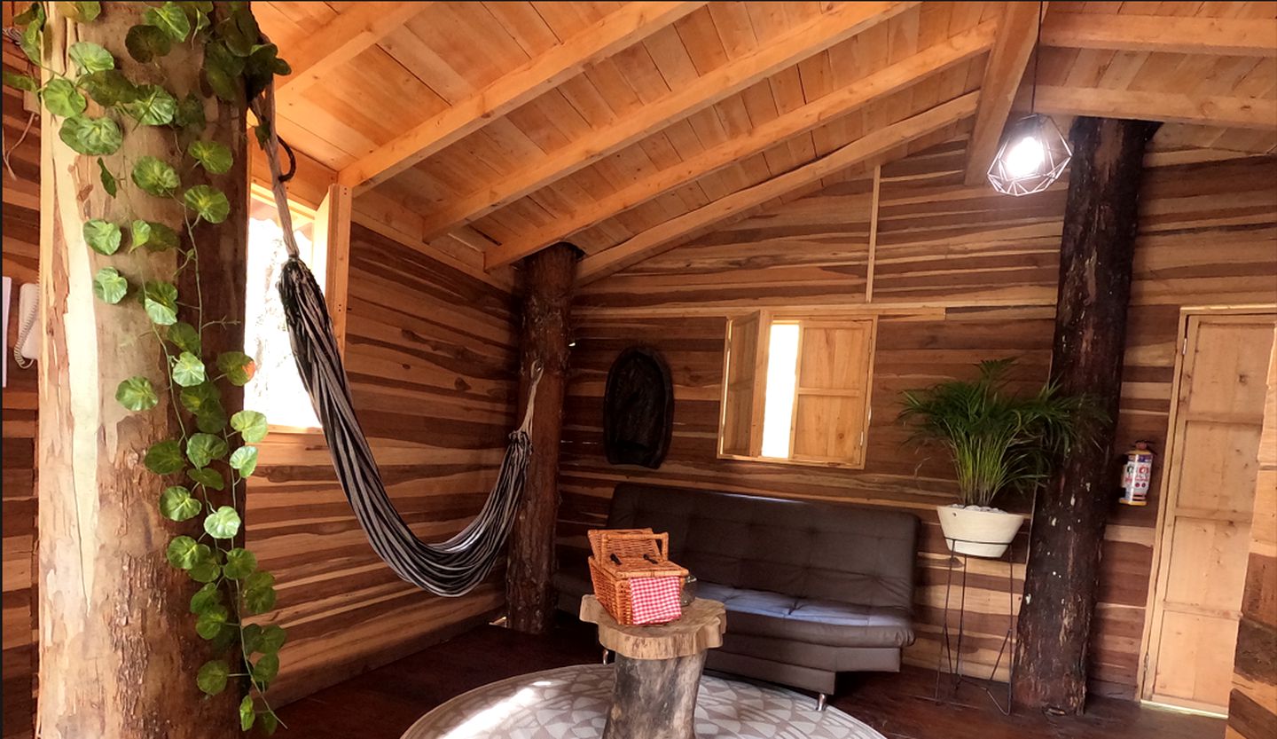 Intimate Tree House with Spa, BBQ and Forest Views in Colombia