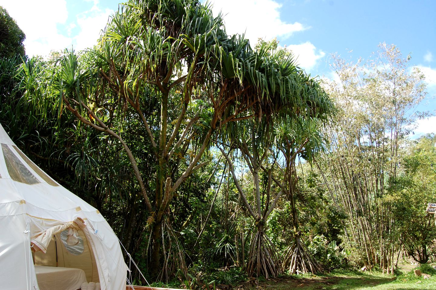 My Pachamama off Grid Across from Mermaid Ponds