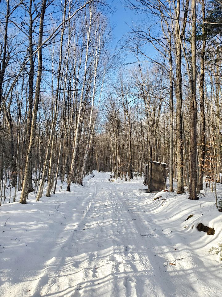 Rustic Escapes to the Canadian Wilderness in this Cozy Cabin for Two in Saint-Damien, Quebec