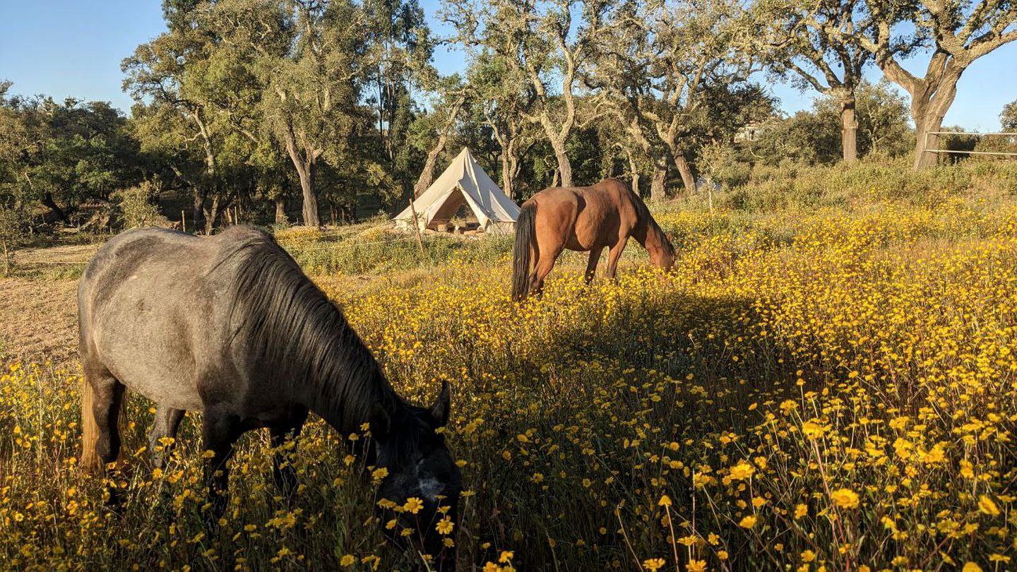 Get Back to Nature at this Eco-Glamping Destination in Roncao, Portugal