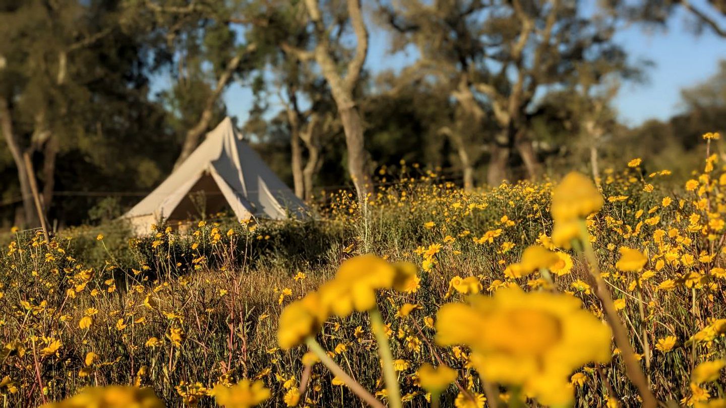 Get Back to Nature at this Eco-Glamping Destination in Roncao, Portugal