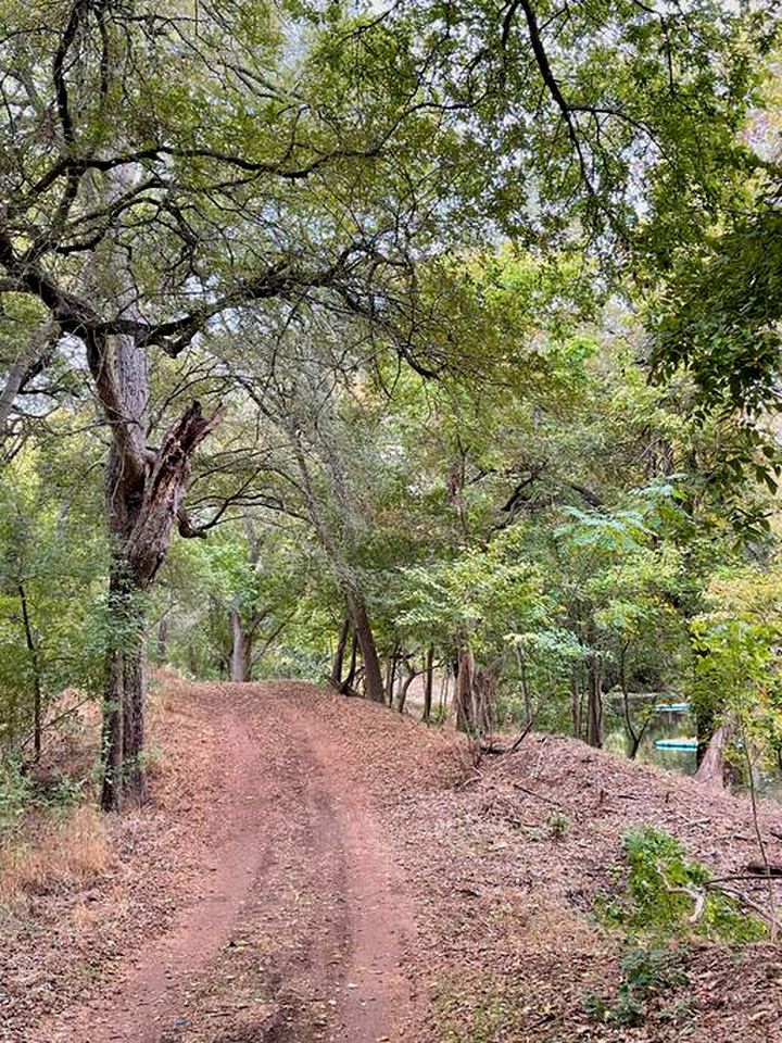 Texas Family Retreat: Glamping Safari Tent with Deluxe Amenities in Cibolo
