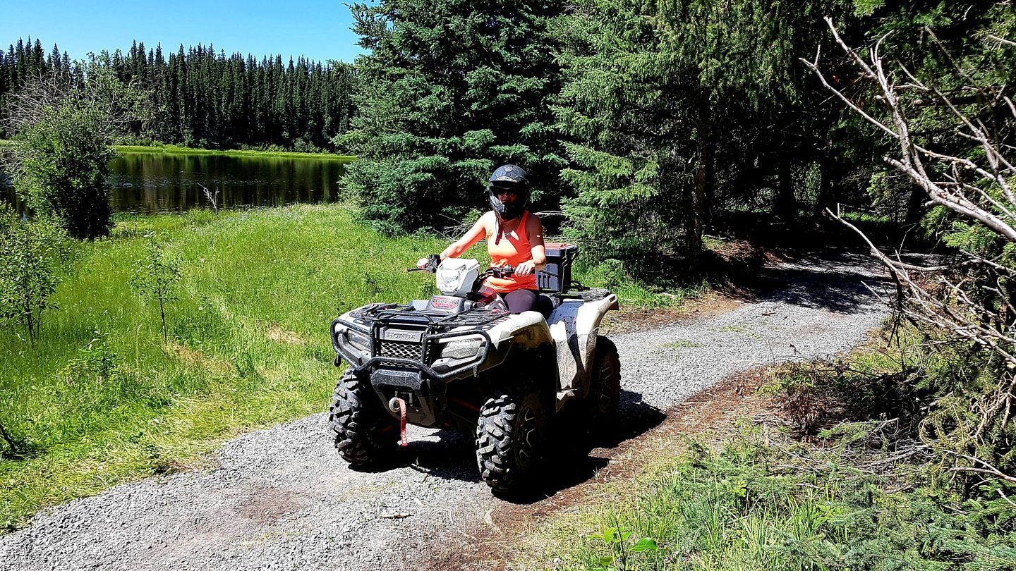 Spacious Family-Friendly Mountain Getaway near Banff, Alberta