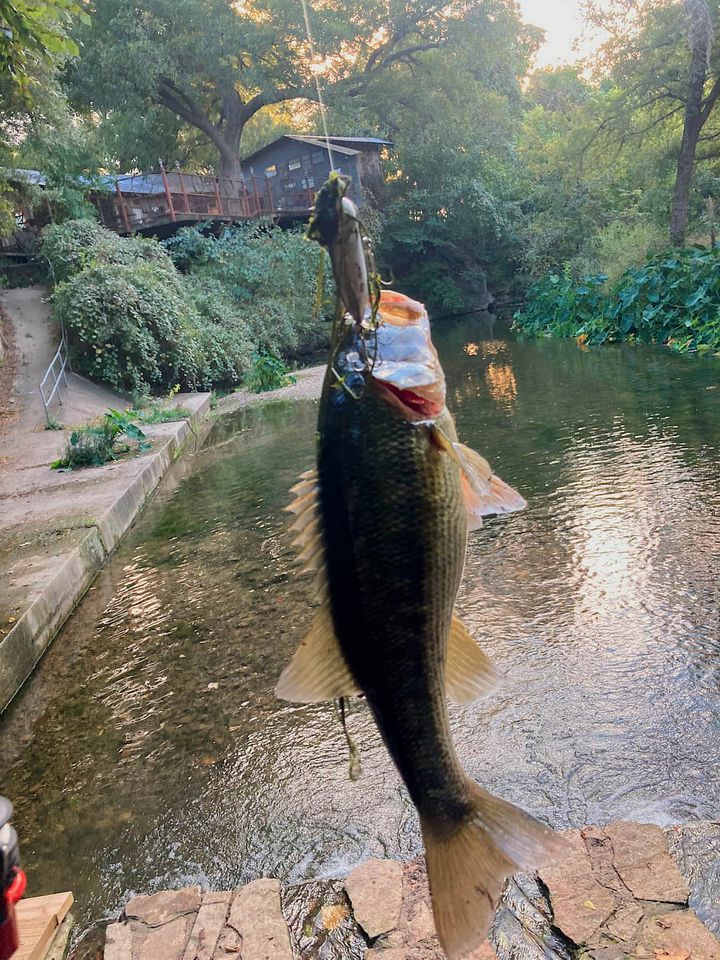 #3 Waterfront Cabin - Cibolo, TX