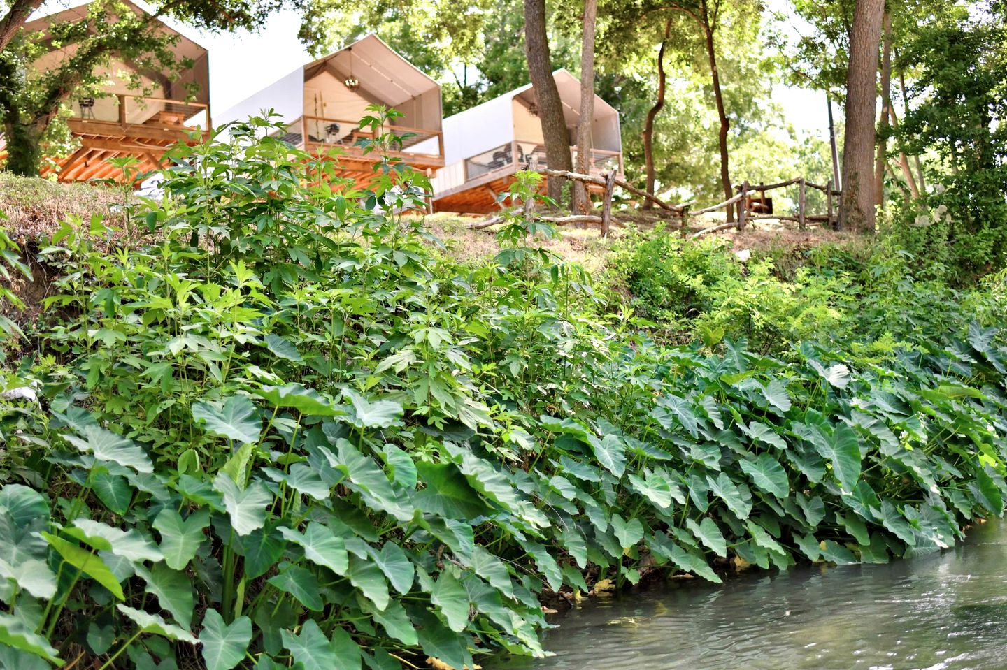 #3 Waterfront Cabin - Cibolo, TX