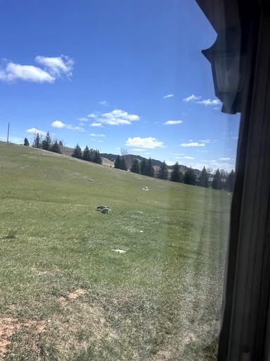 Cabins (United States of America, Sturgis, South Dakota)