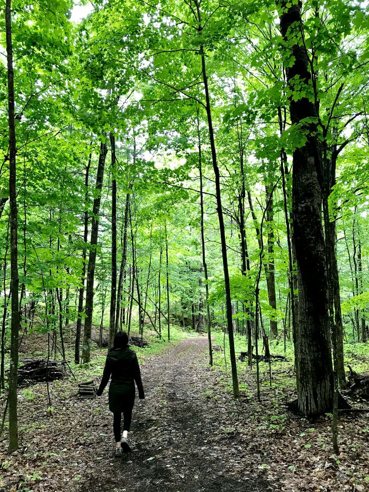 Private Cabin Located in a Wilderness Escape For Nature Enthusiasts on Long Lake, Portland Ontario