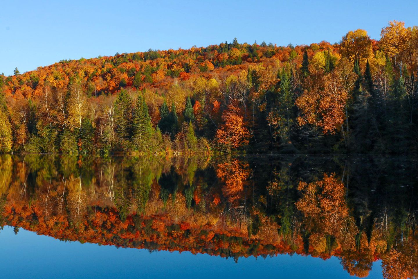 Luxury Dome Rental for Five in Ontario, Ideal for Glamping Stays in Mattawan