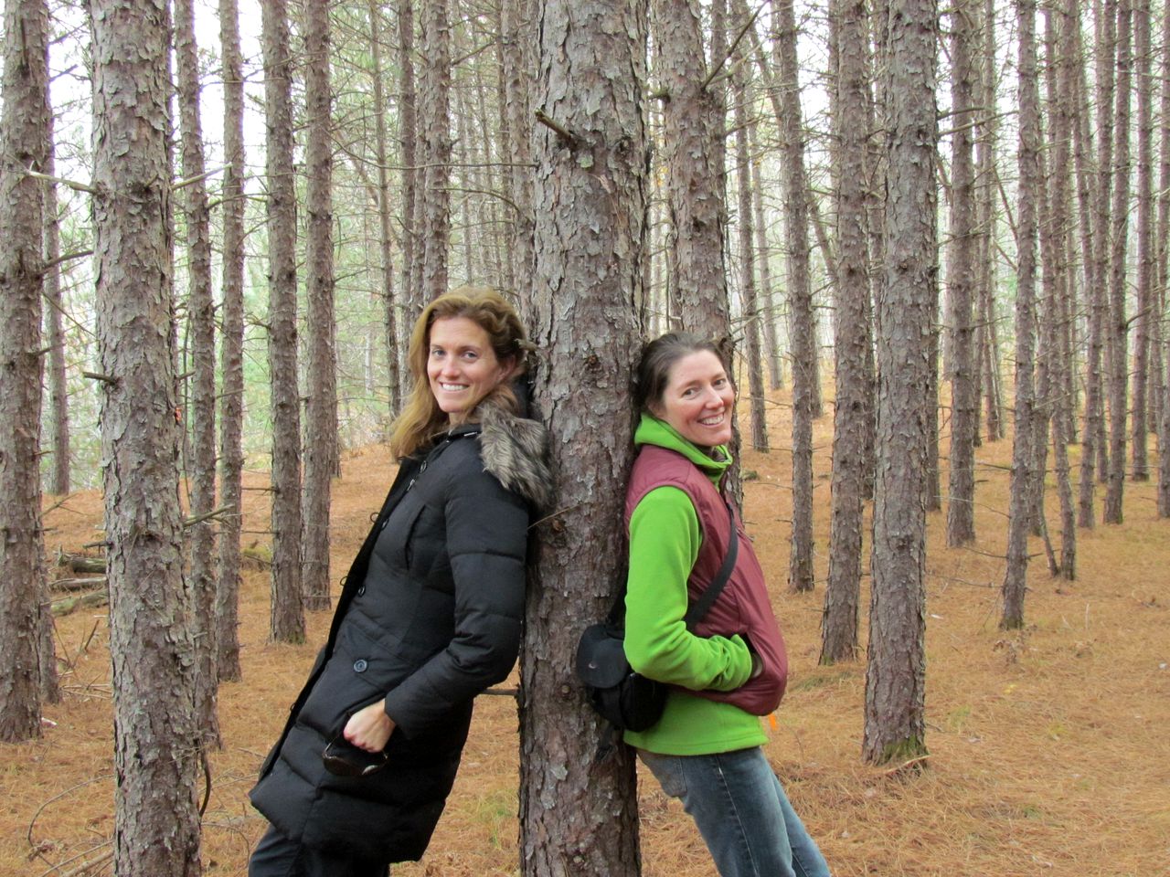 Luxury Dome Rental for Five in Ontario, Ideal for Glamping Stays in Mattawan