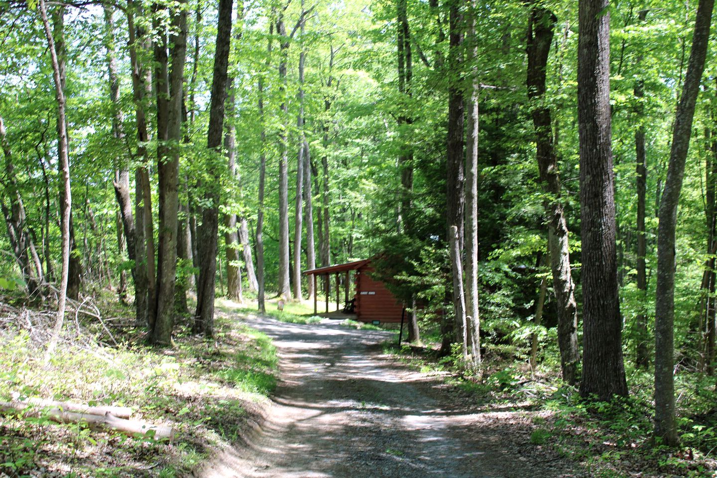 Romantic Cabin Rental in the Forest near Beckley, West Virginia