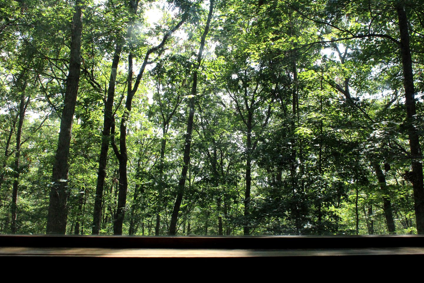 Idyllic Cabin Rental Nestled in the Forest near Summersville, West Virginia