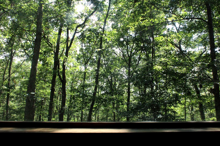 Cabins (Hico, West Virginia, United States)