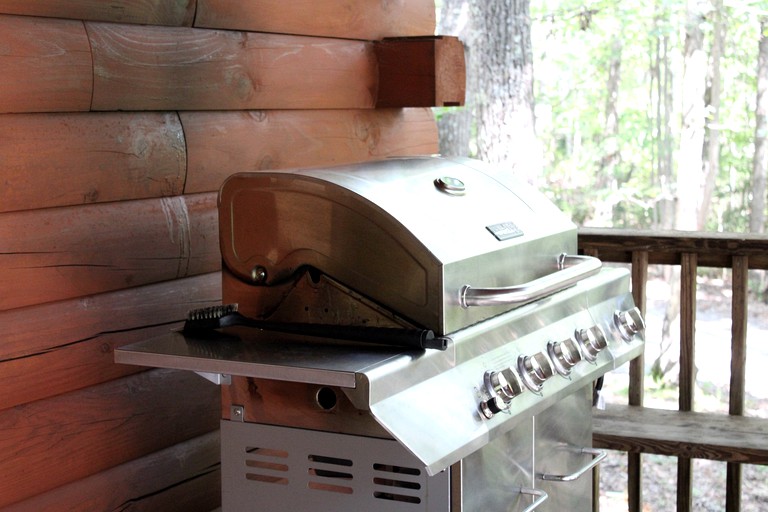 Cabins (Hico, West Virginia, United States)