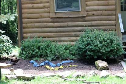 undefined photo 4