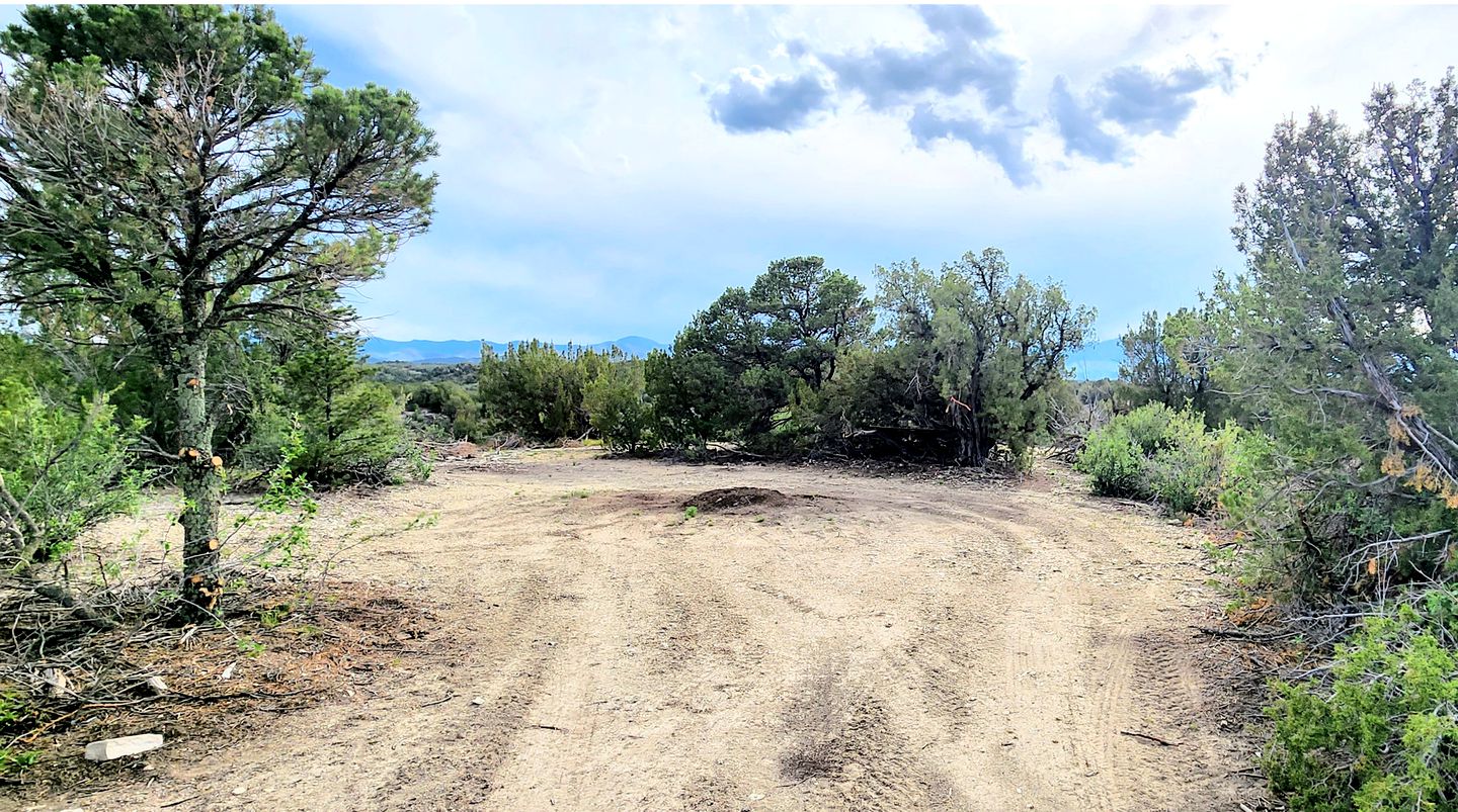 Remote Pet-Friendly Tented Cabin Great for Family Getaways in Colorado