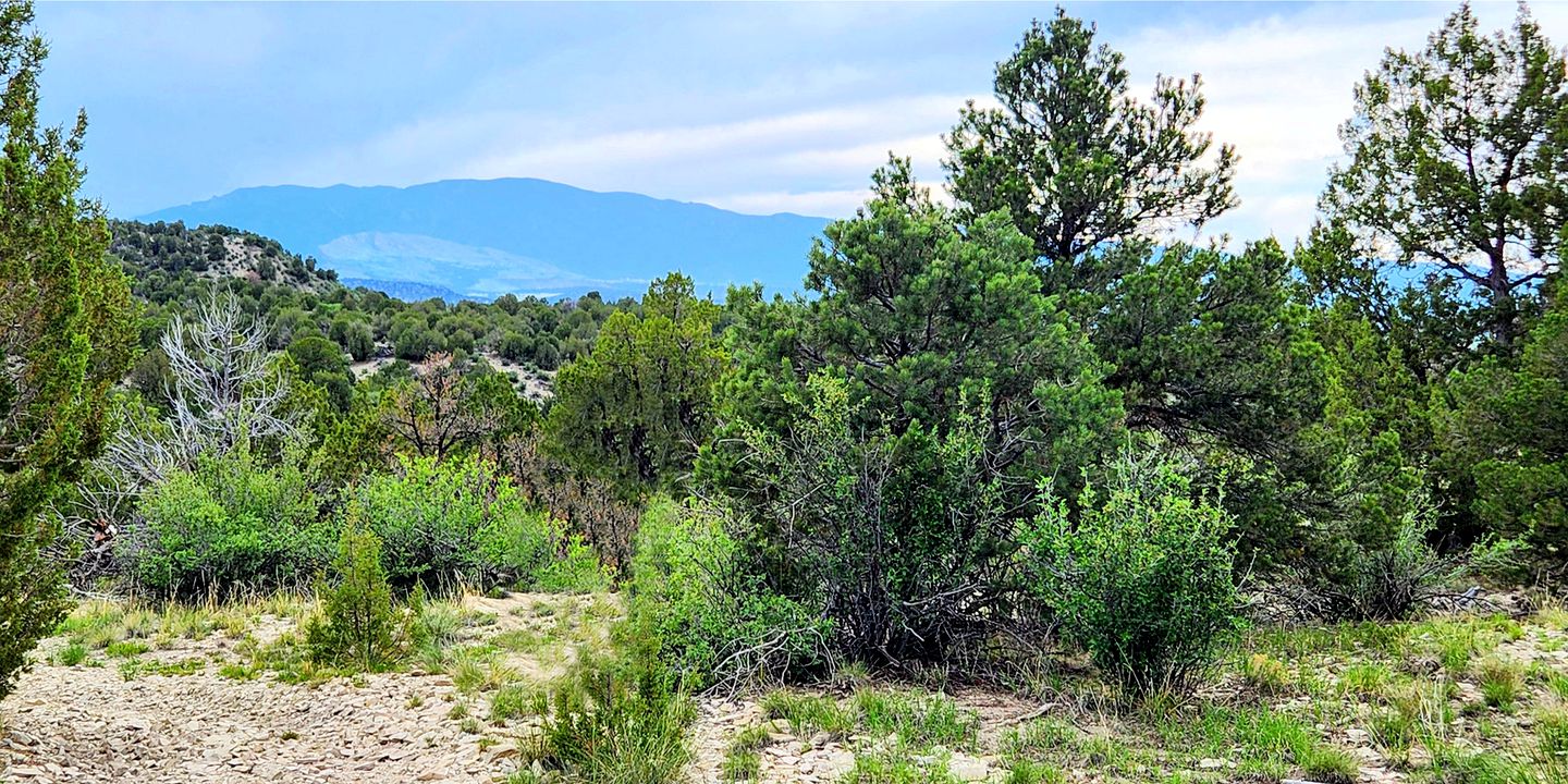 Remote Pet-Friendly Tented Cabin Great for Family Getaways in Colorado