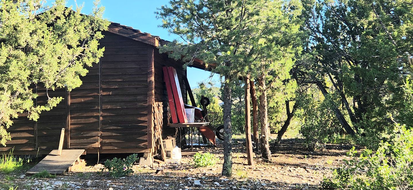 Remote Pet-Friendly Tented Cabin Great for Family Getaways in Colorado