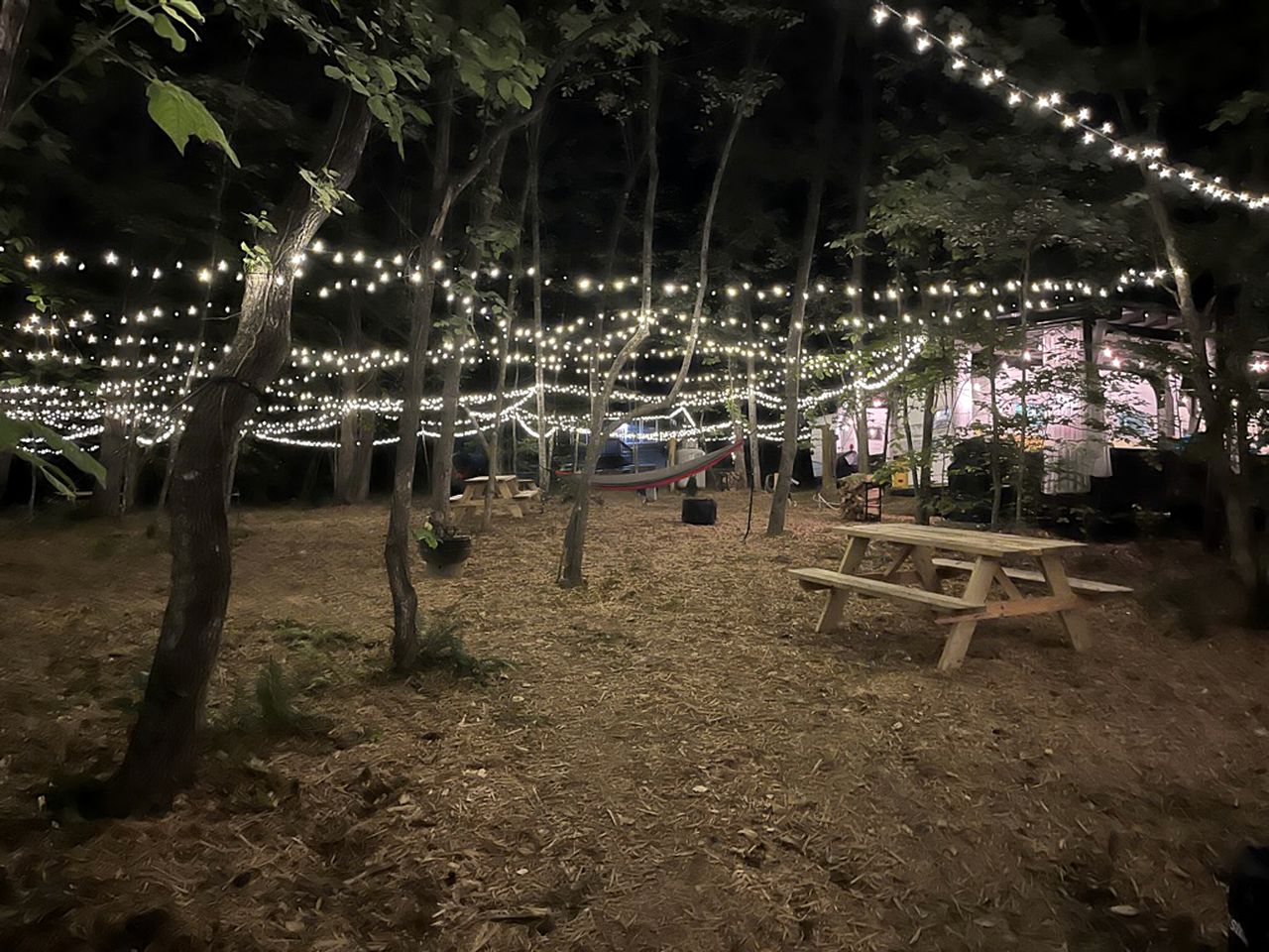 Remote Vintage Camper Rental for Adult-Only Retreat in Franklin, North Carolina