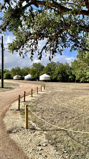 Yurts (United States of America, Bandera, Texas)