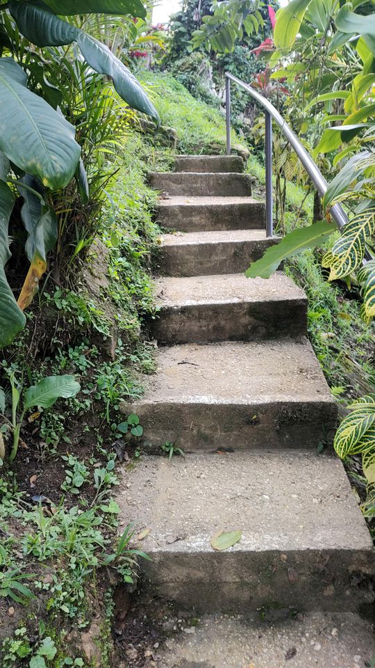 Glass Cabin with Spectacular Views of the Caribbean Rain Forest, Majestic Mountains and Sparkling Sea in Paramin, Trinidad and Tobago