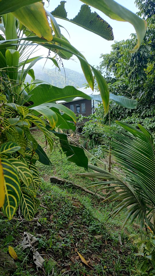 Glass Cabin with Spectacular Views of the Caribbean Rain Forest, Majestic Mountains and Sparkling Sea in Paramin, Trinidad and Tobago