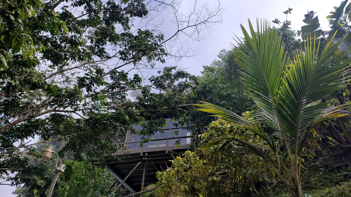 Glass Cabin with Spectacular Views of the Caribbean Rain Forest, Majestic Mountains and Sparkling Sea in Paramin, Trinidad and Tobago