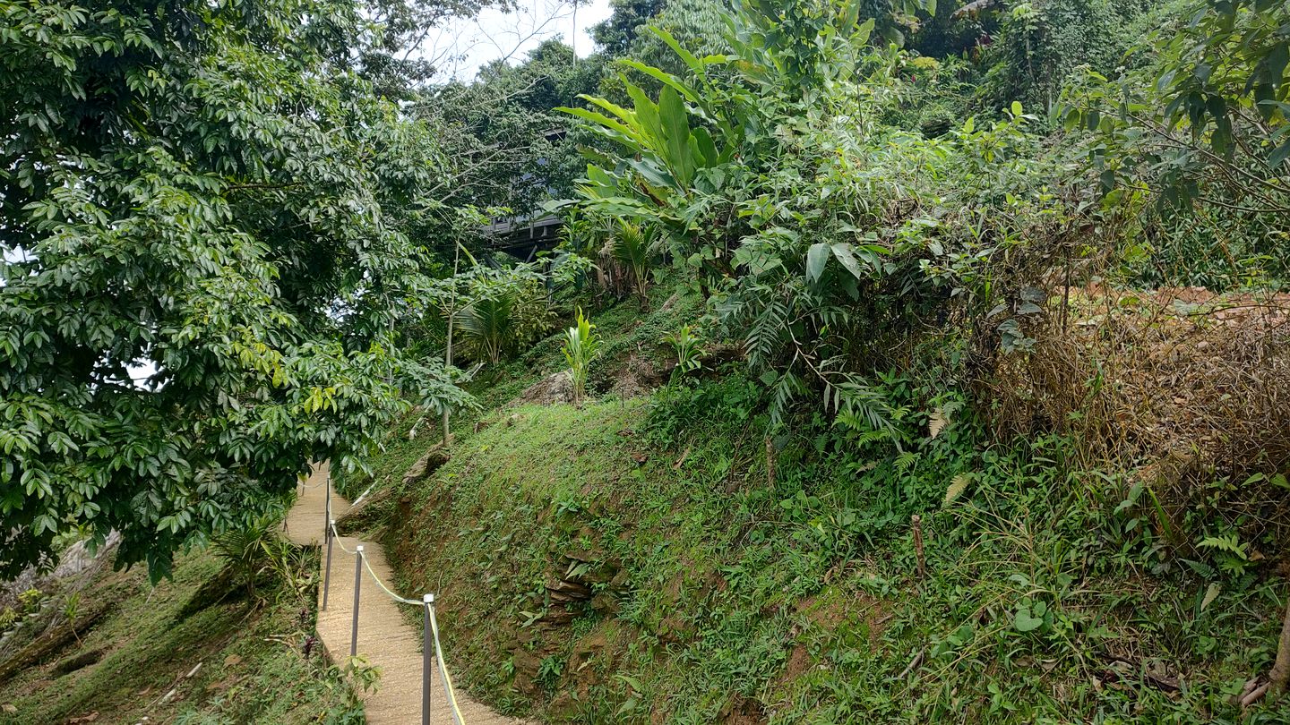 Glass Cabin with Spectacular Views of the Caribbean Rain Forest, Majestic Mountains and Sparkling Sea in Paramin, Trinidad and Tobago